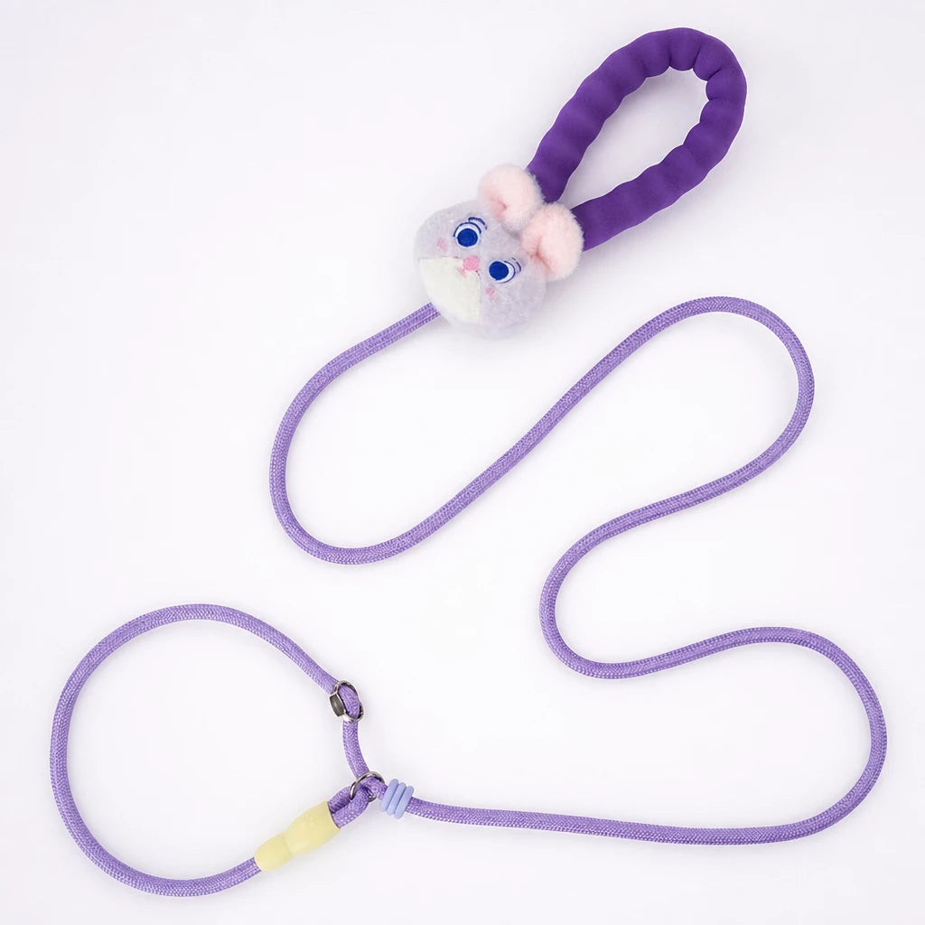 Nylon Slip Lead Dog Leash for Walking and Training