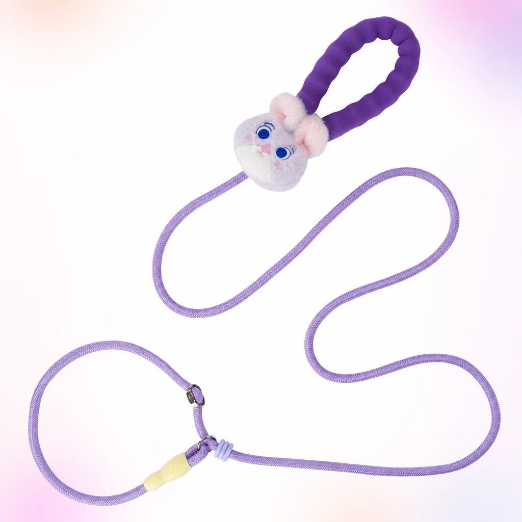 Nylon Slip Lead Dog Leash for Walking and Training