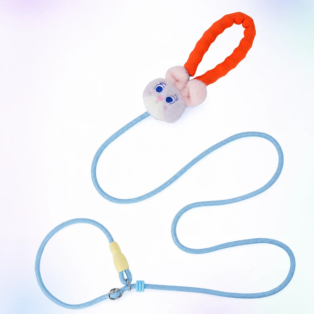 Nylon Slip Lead Dog Leash for Walking and Training