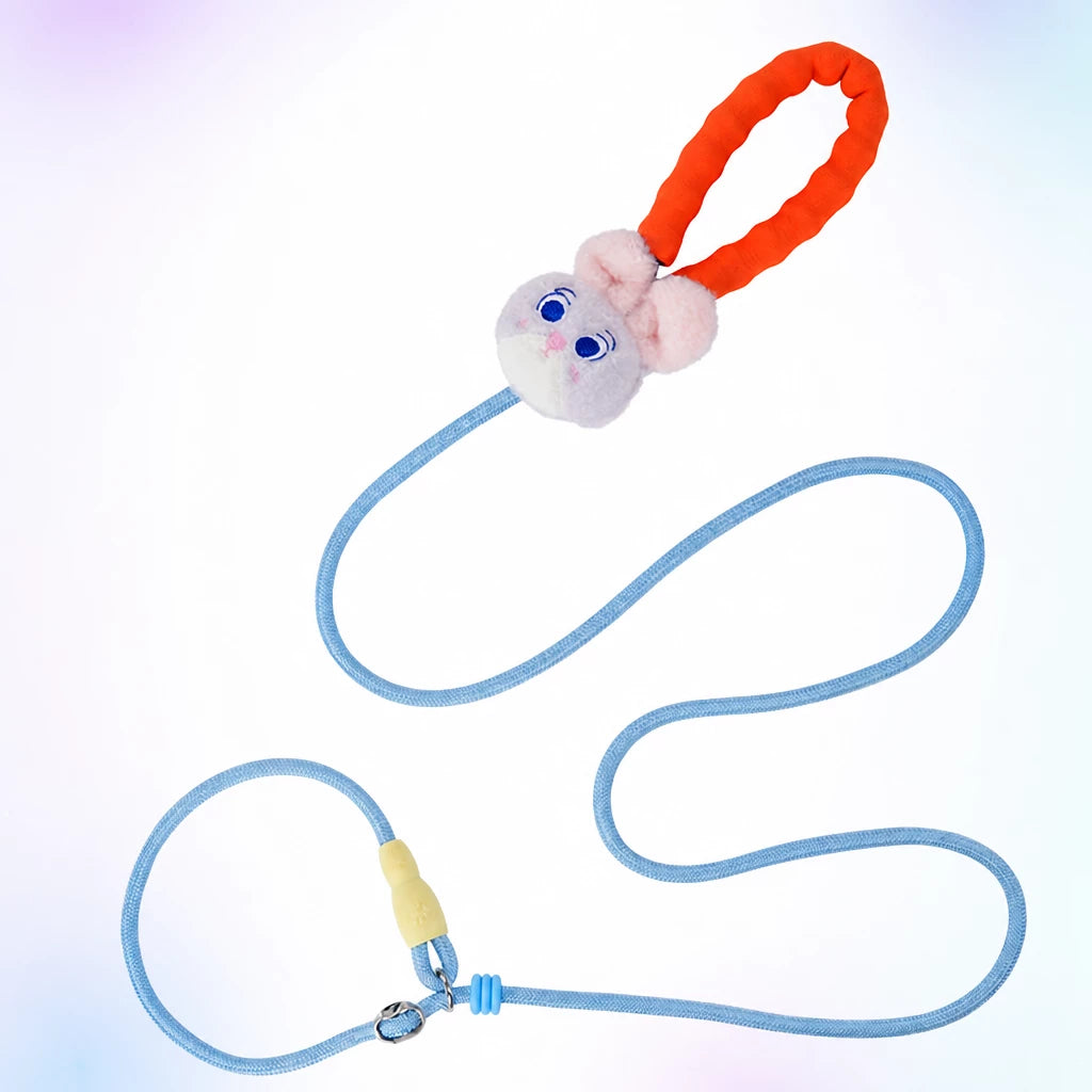 Nylon Slip Lead Dog Leash for Walking and Training