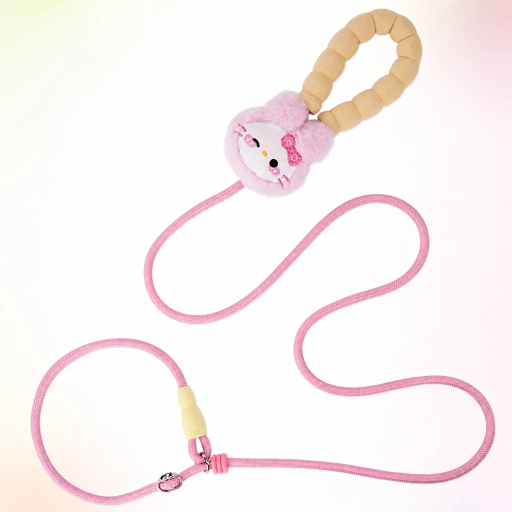Nylon Slip Lead Dog Leash for Walking and Training