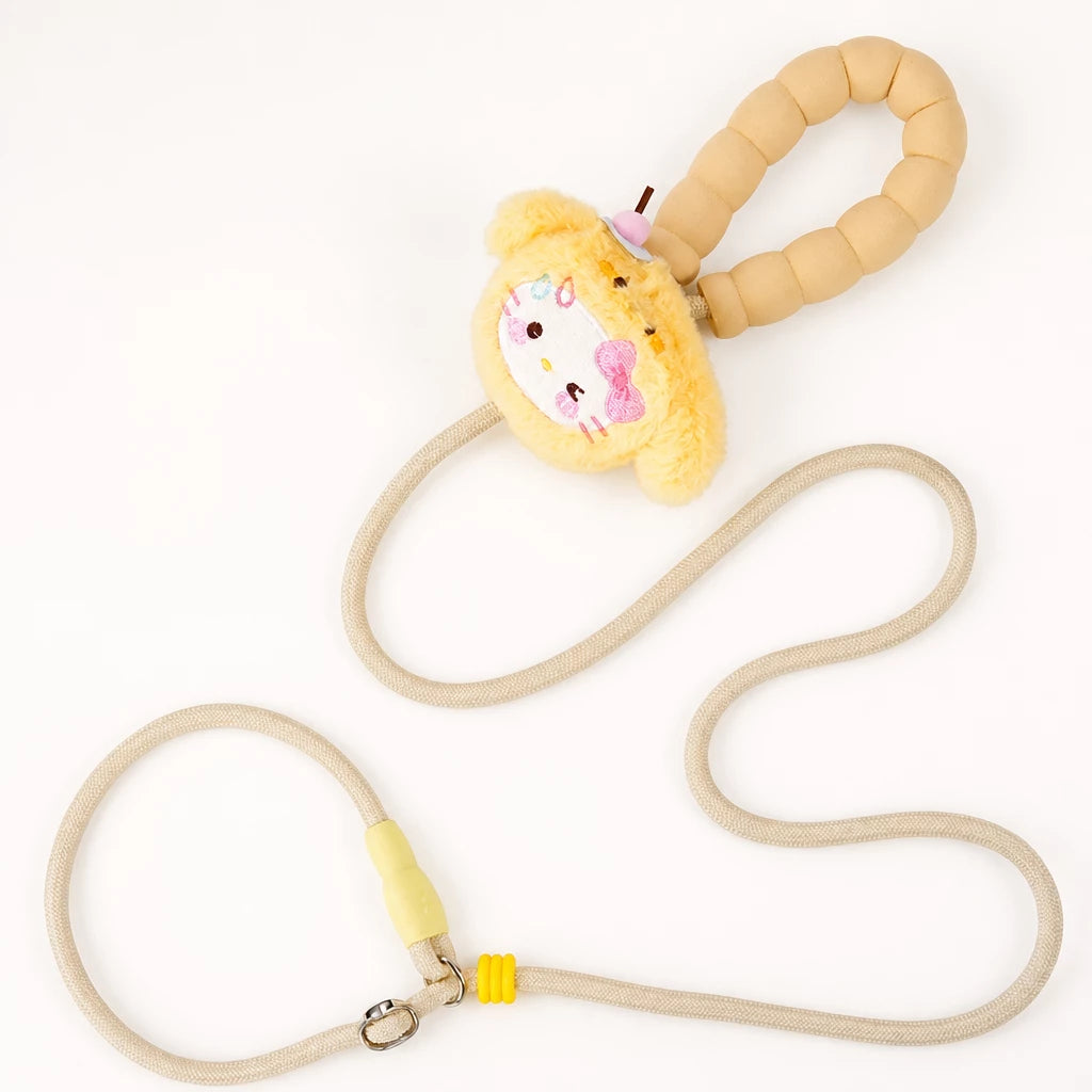 Nylon Slip Lead Dog Leash for Walking and Training