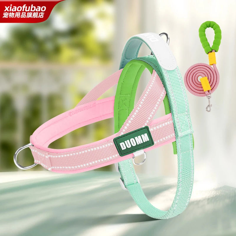 Nylon Round Dog Leash for Small to Medium Dogs