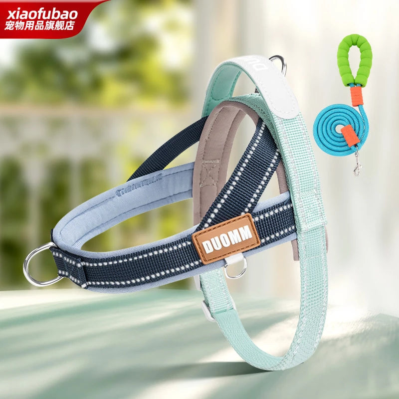 Nylon Round Dog Leash for Small to Medium Dogs