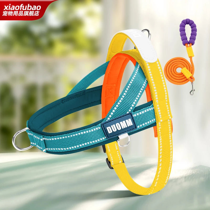 Nylon Round Dog Leash for Small to Medium Dogs
