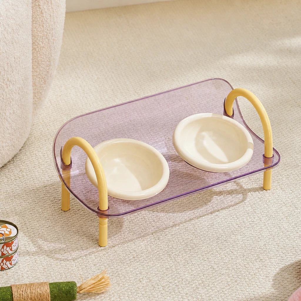 Ceramic Double-Bowl Slow Feeder Set for Pets