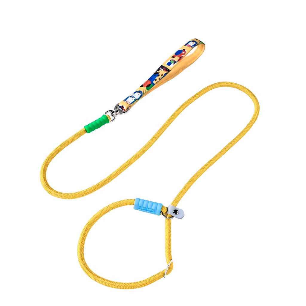 Nylon Dog Leash