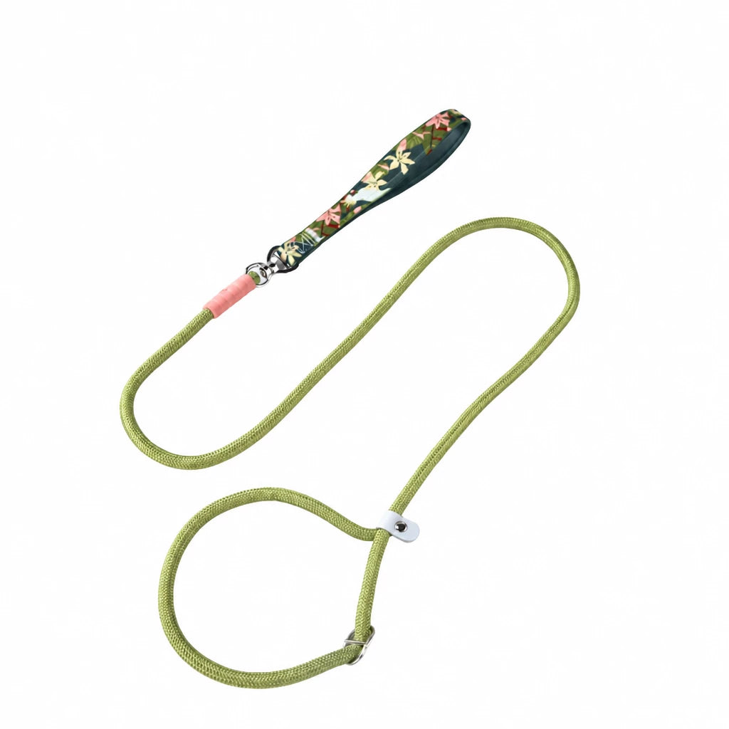 Nylon Dog Leash
