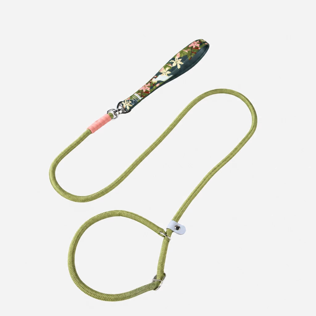 Nylon Dog Leash