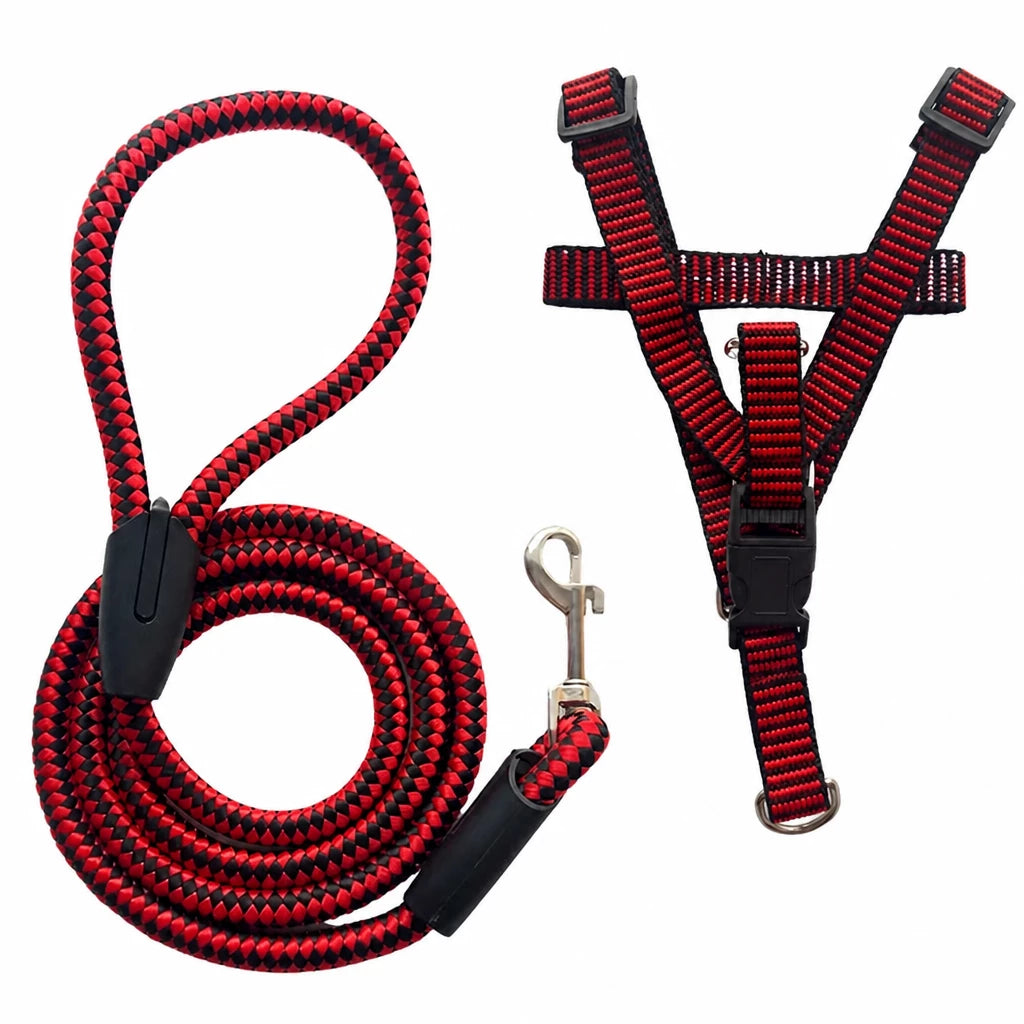 Adjustable Nylon Dog Harness and Leash Set