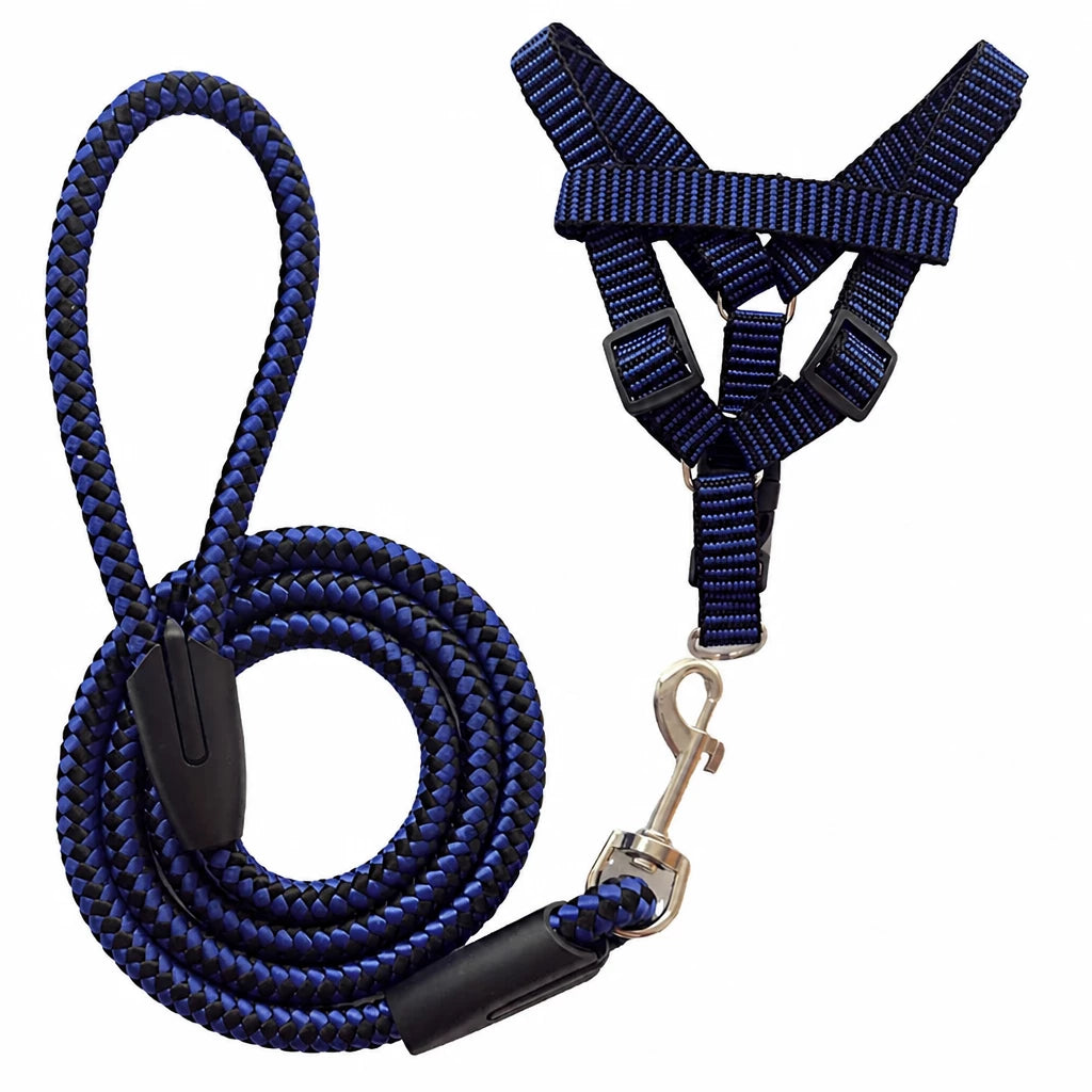 Adjustable Nylon Dog Harness and Leash Set
