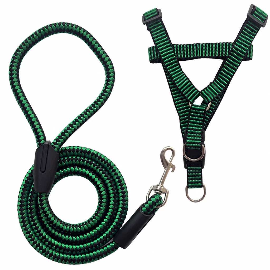 Adjustable Nylon Dog Harness and Leash Set