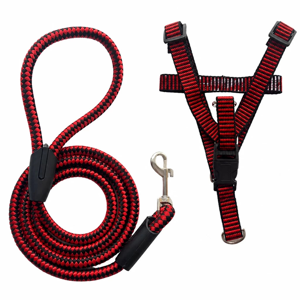 Adjustable Nylon Dog Harness and Leash Set
