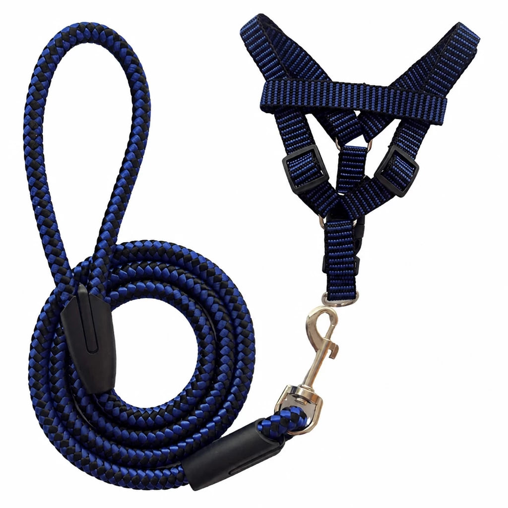Adjustable Nylon Dog Harness and Leash Set
