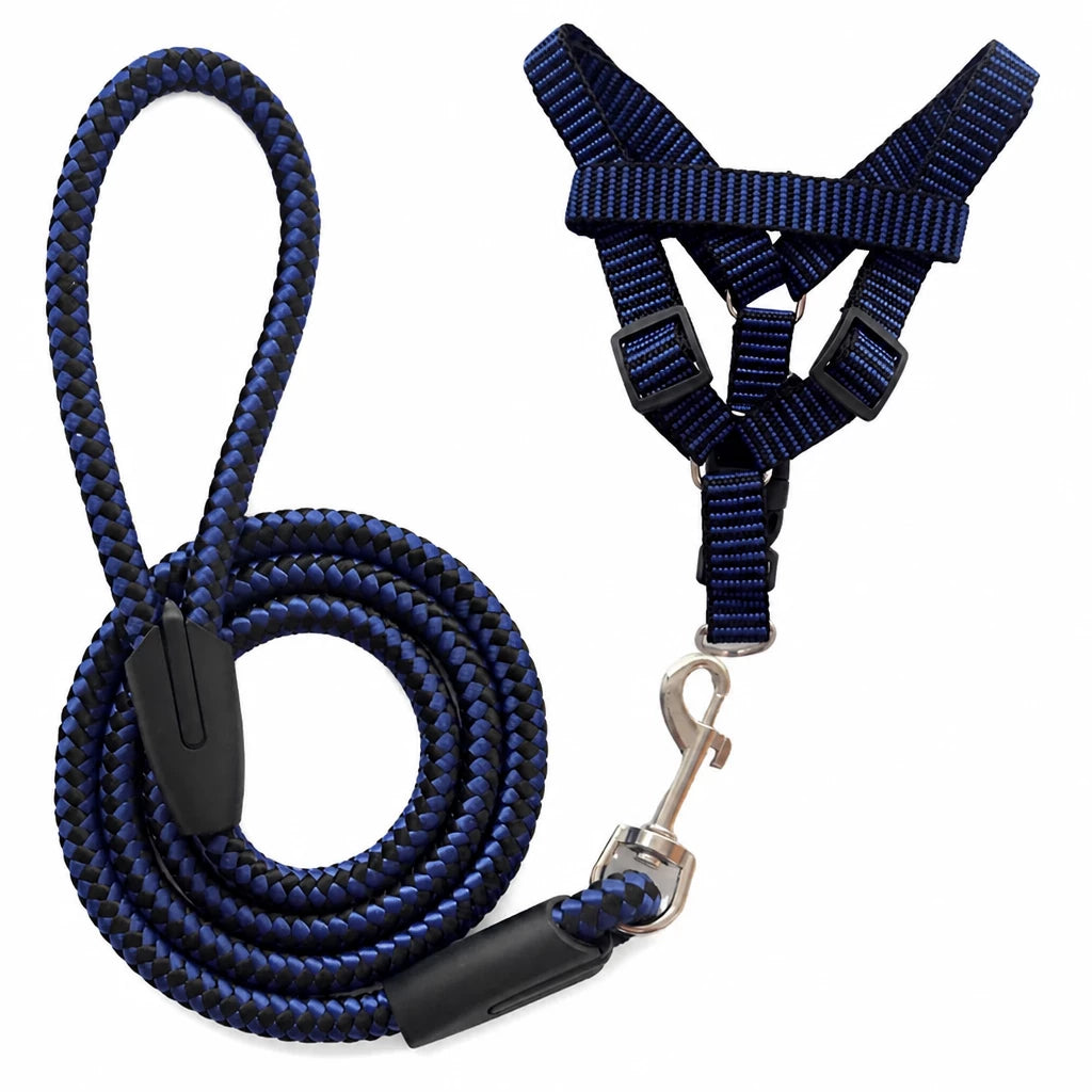 Adjustable Nylon Dog Harness and Leash Set