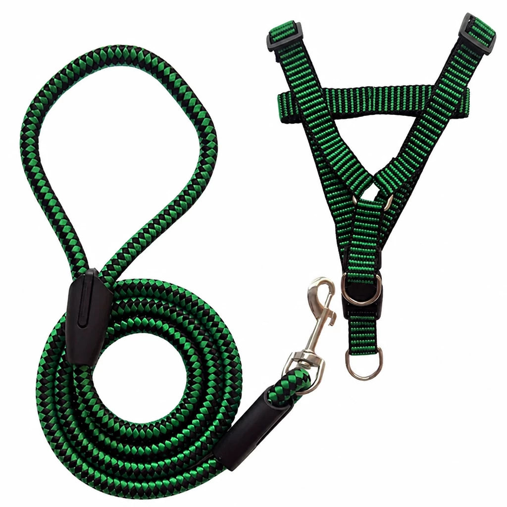 Adjustable Nylon Dog Harness and Leash Set