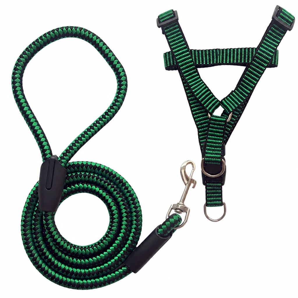 Adjustable Nylon Dog Harness and Leash Set
