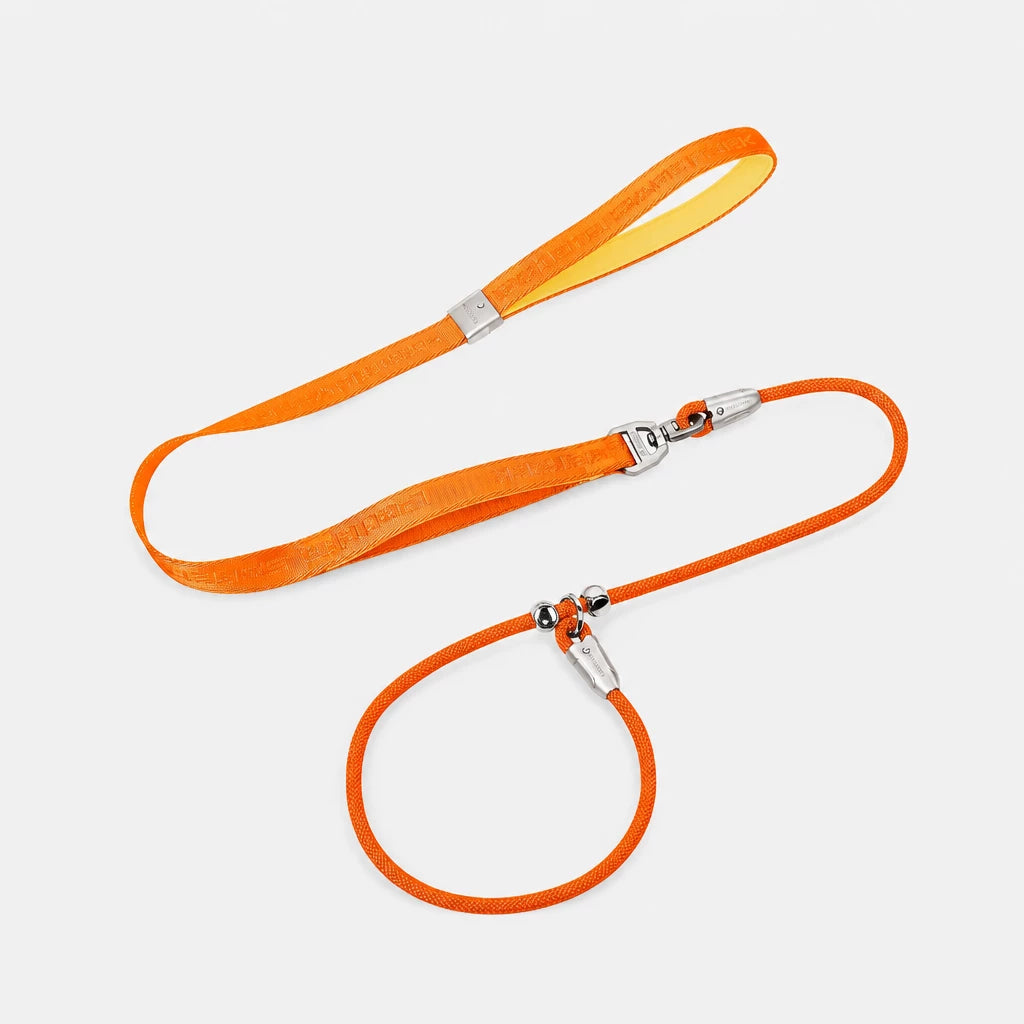 Integrated Slip Lead Dog Leash with Close-Control Handle
