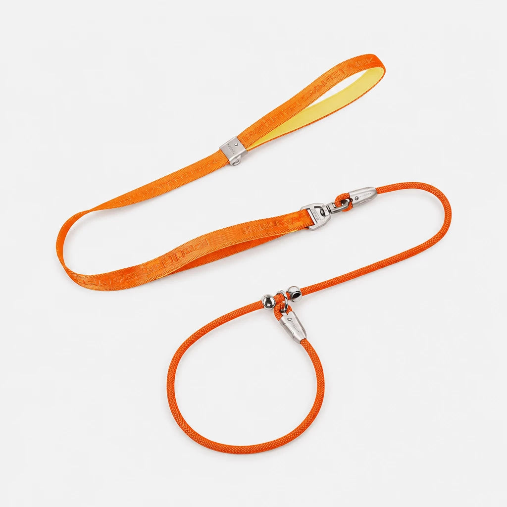 Integrated Slip Lead Dog Leash with Close-Control Handle