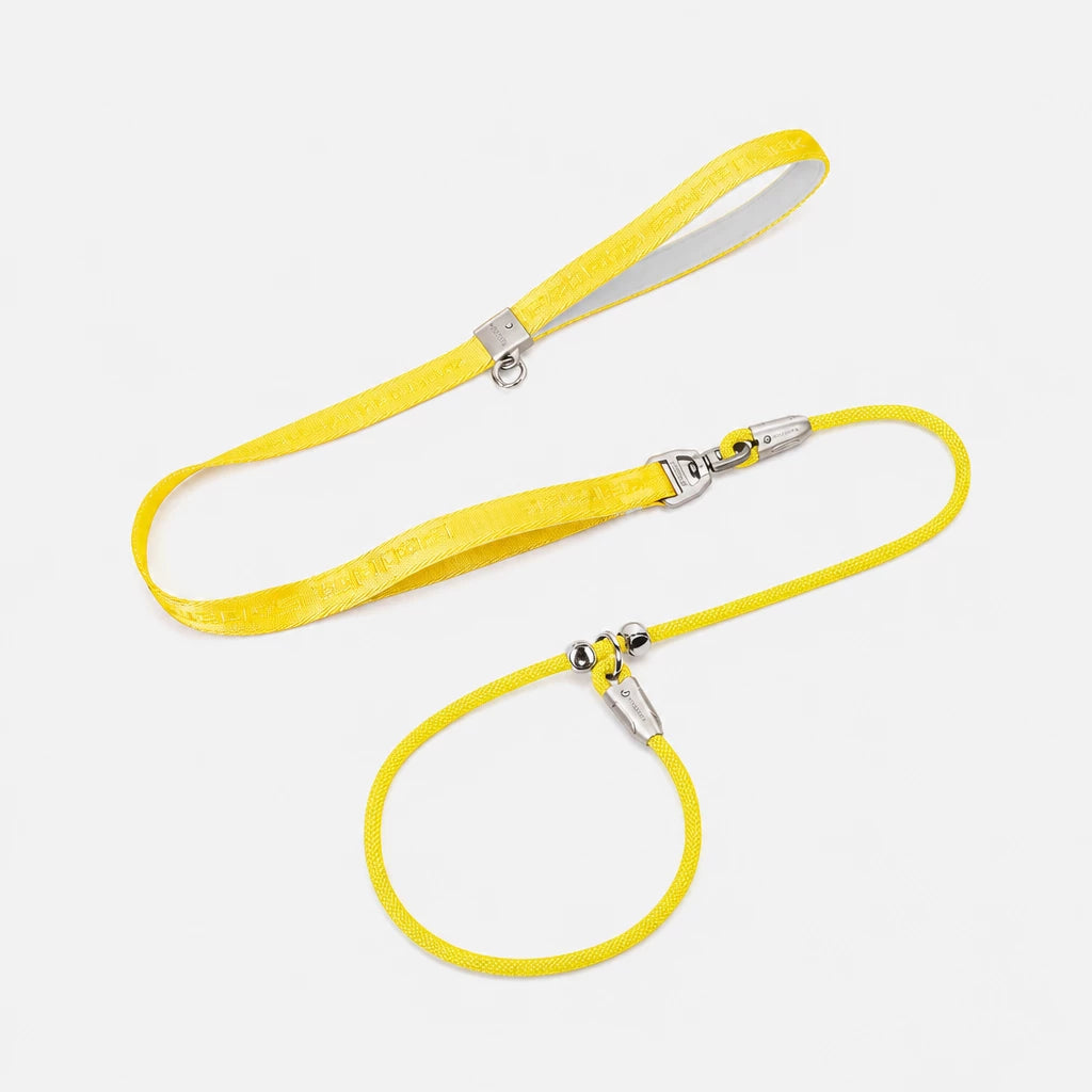 Integrated Slip Lead Dog Leash with Close-Control Handle