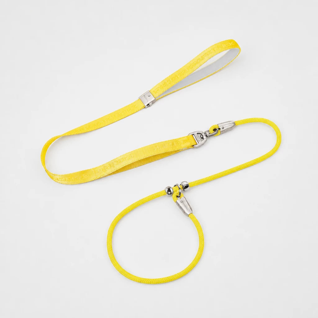 Integrated Slip Lead Dog Leash with Close-Control Handle