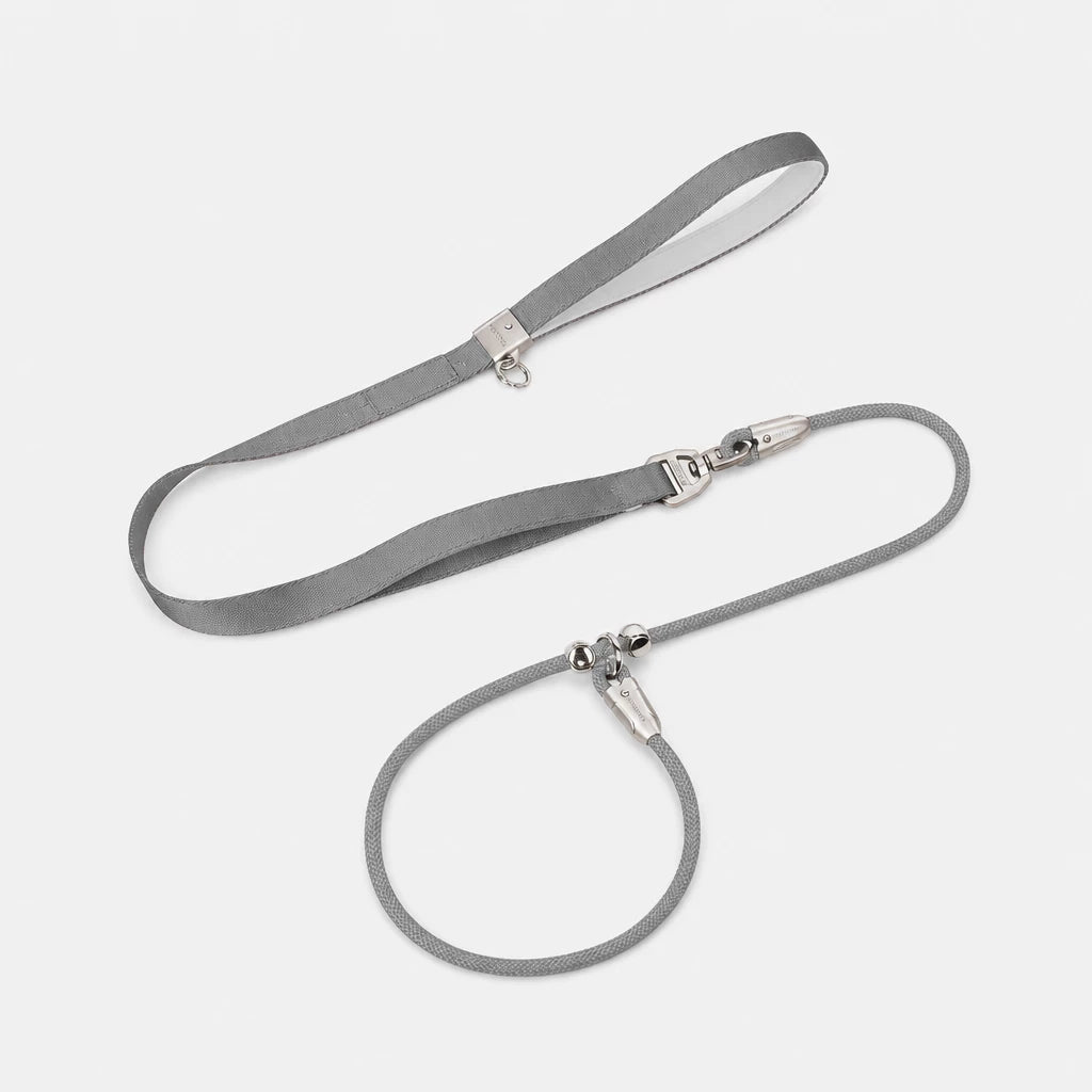 Integrated Slip Lead Dog Leash with Close-Control Handle