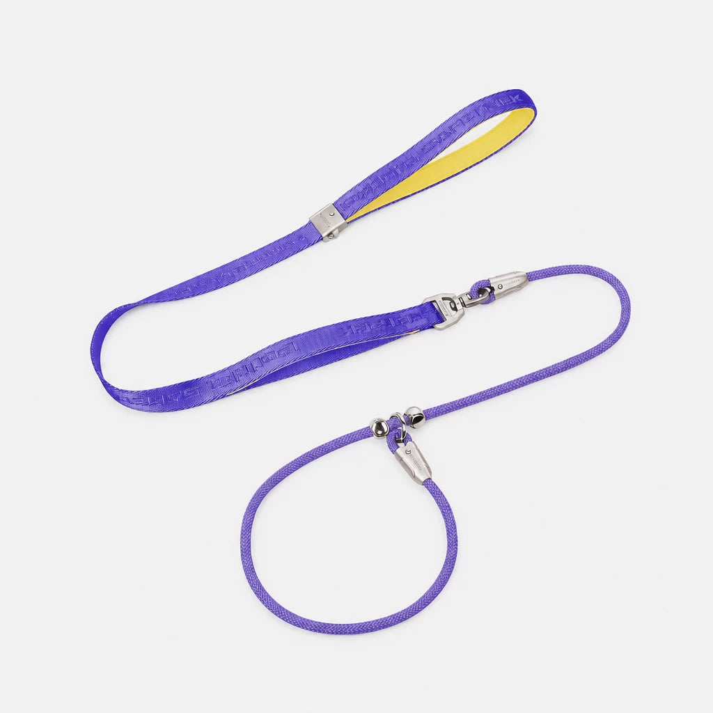 Integrated Slip Lead Dog Leash with Close-Control Handle