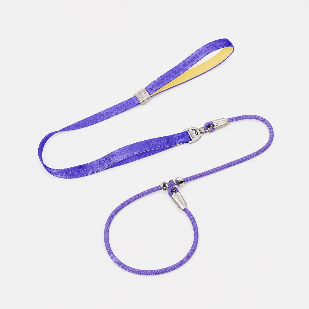Integrated Slip Lead Dog Leash with Close-Control Handle