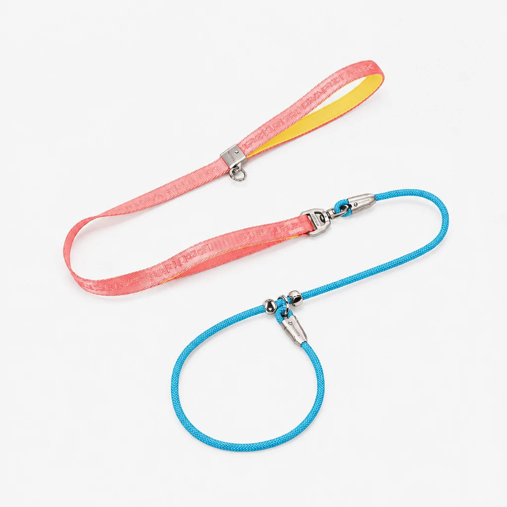Integrated Slip Lead Dog Leash with Close-Control Handle