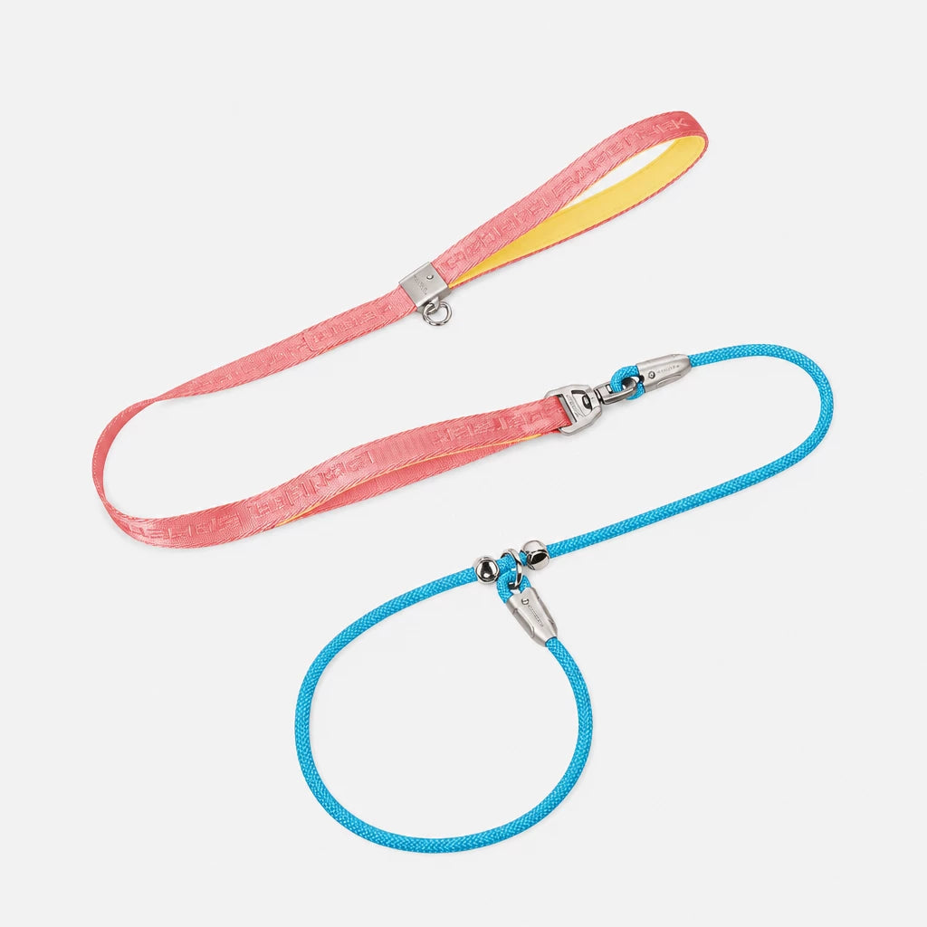 Integrated Slip Lead Dog Leash with Close-Control Handle