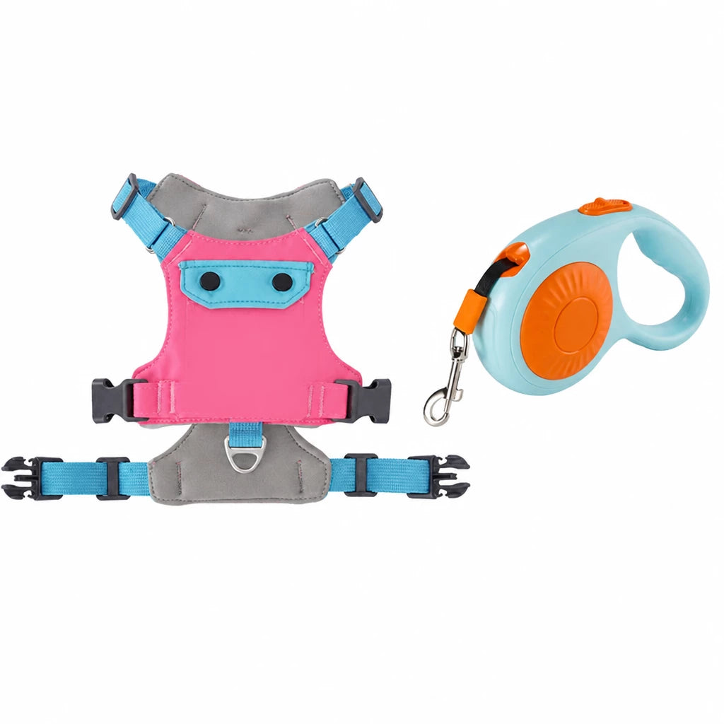 Adjustable Vest-Style Dog Harness with Leash for Walks