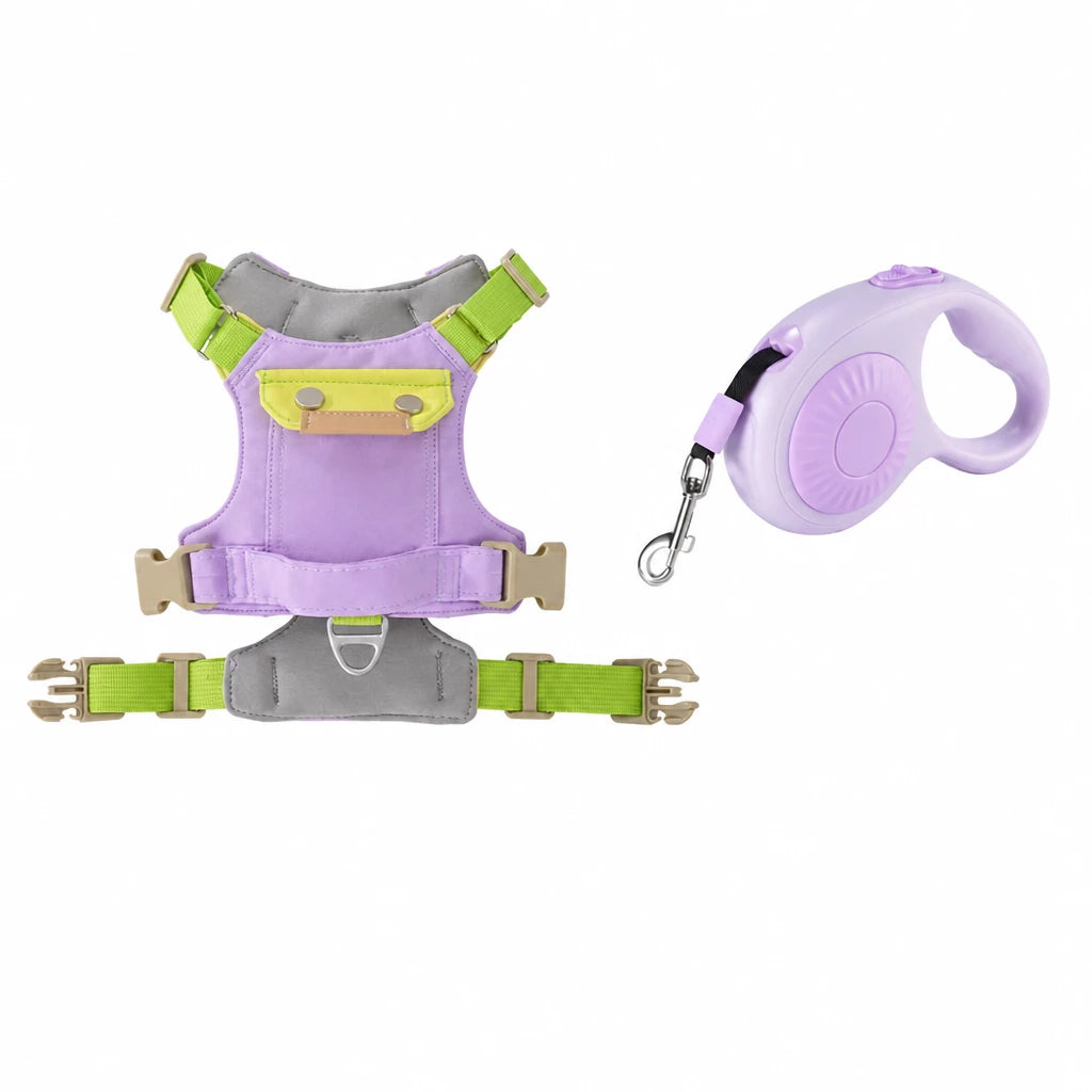 Adjustable Vest-Style Dog Harness with Leash for Walks