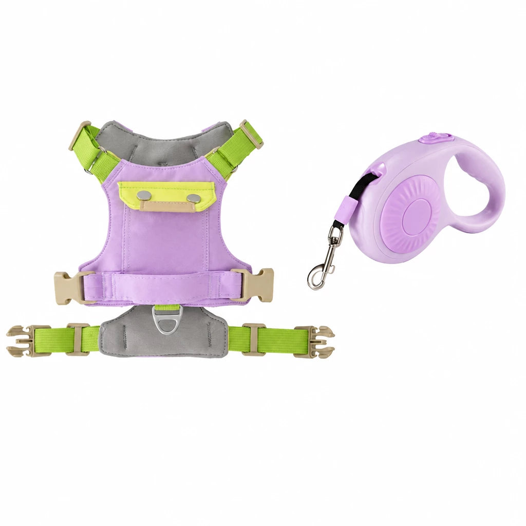 Adjustable Vest-Style Dog Harness with Leash for Walks