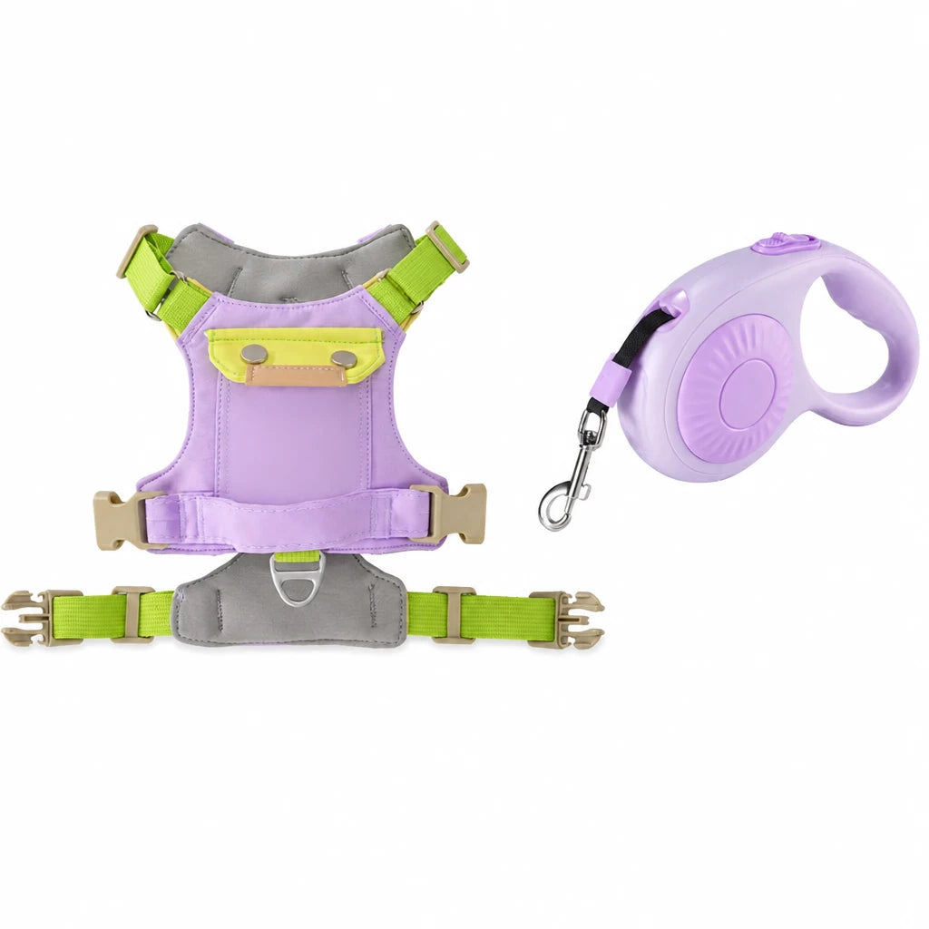 Adjustable Vest-Style Dog Harness with Leash for Walks
