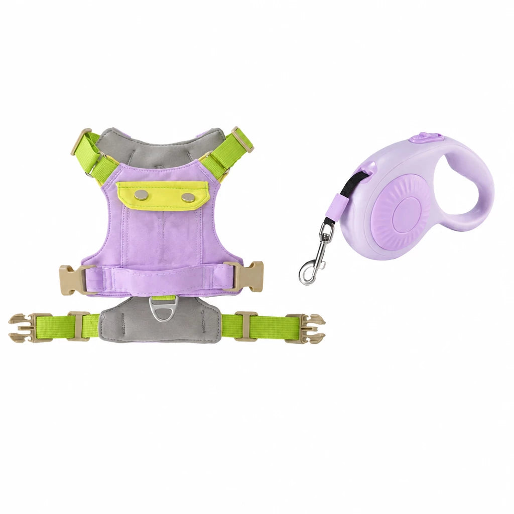 Adjustable Vest-Style Dog Harness with Leash for Walks