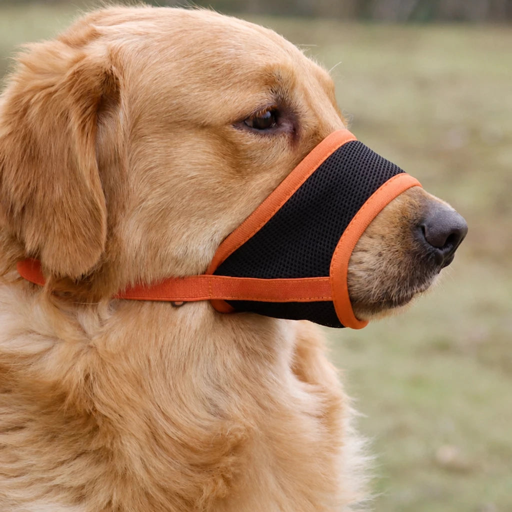 Mesh Dog Muzzle