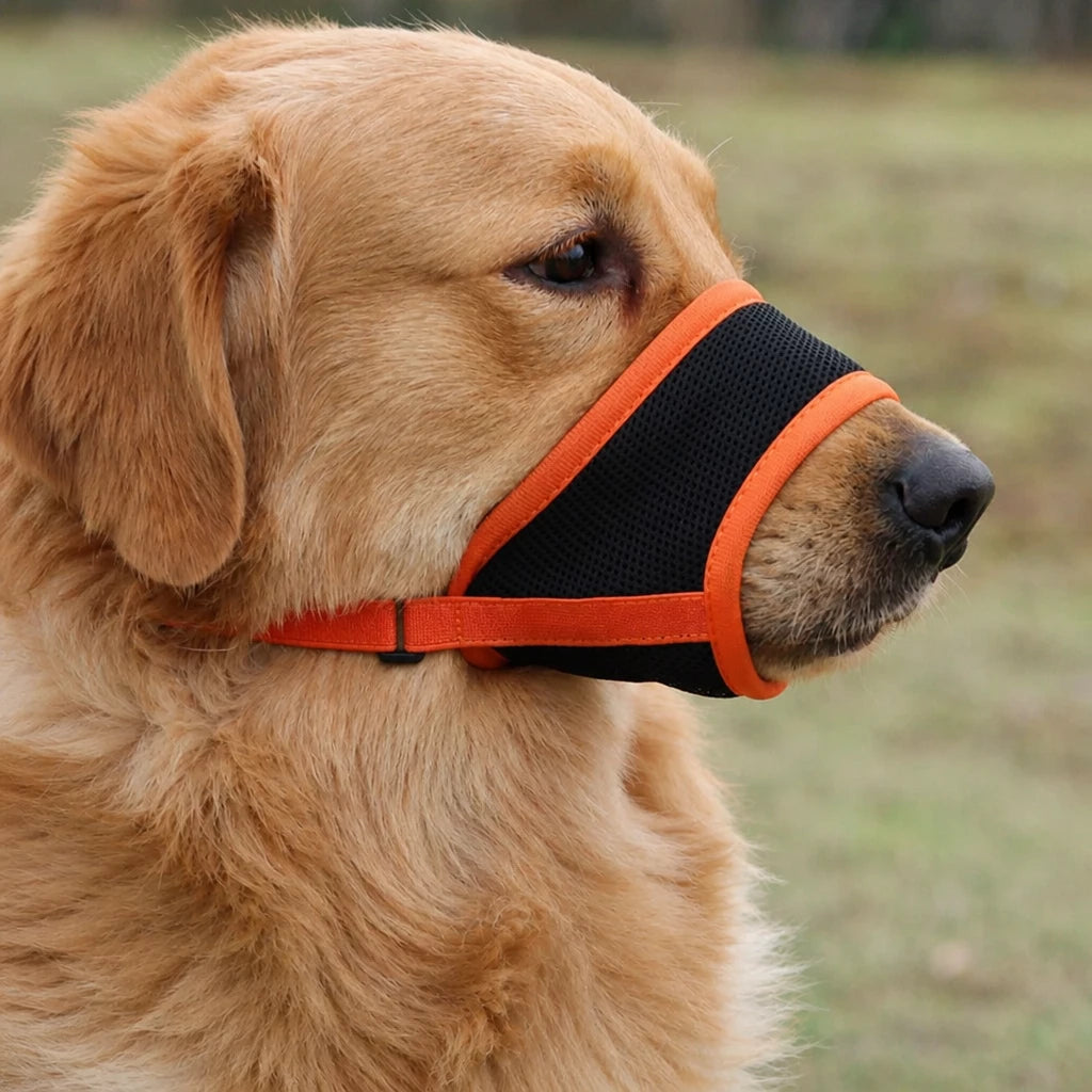 Mesh Dog Muzzle