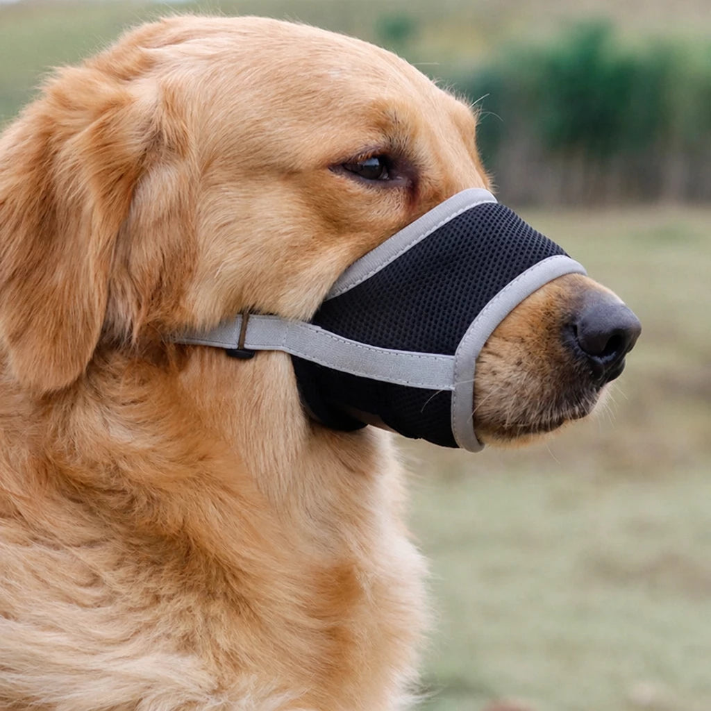 Mesh Dog Muzzle