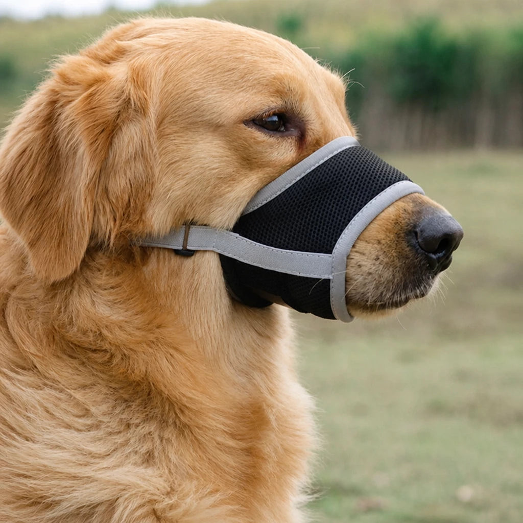 Mesh Dog Muzzle