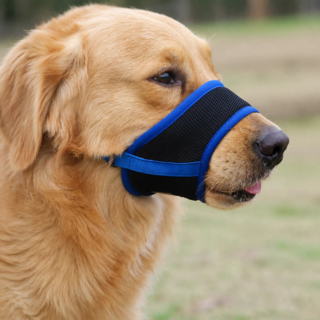 Mesh Dog Muzzle