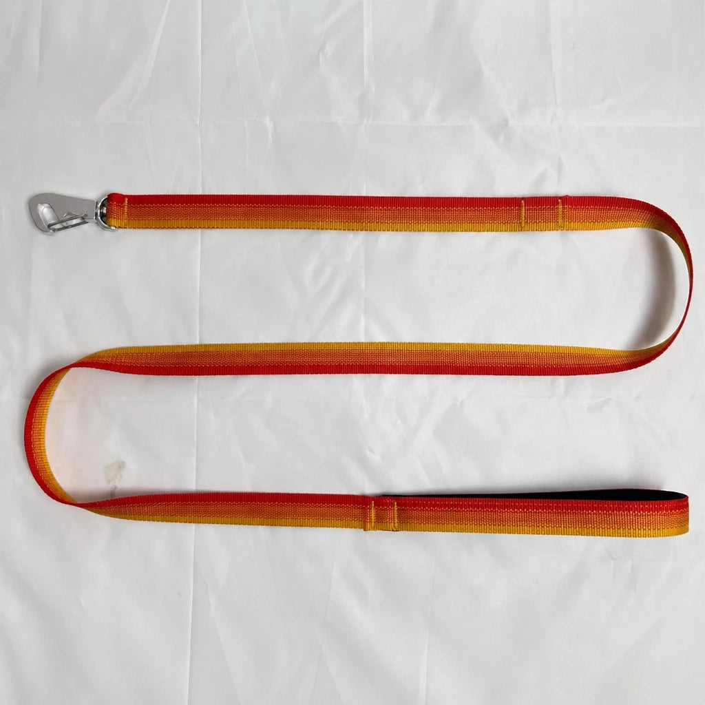 Lightweight Quick-Dry Polyester Dog Leash