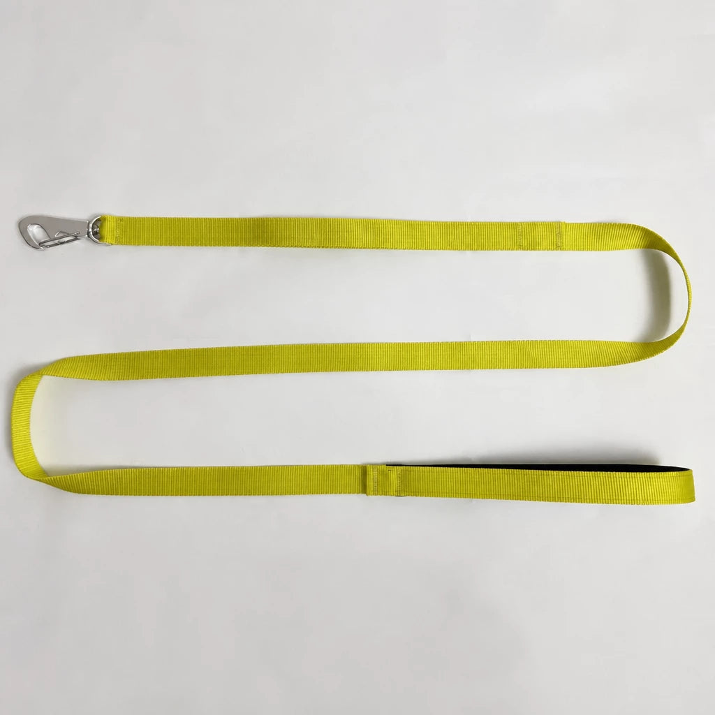 Lightweight Quick-Dry Polyester Dog Leash