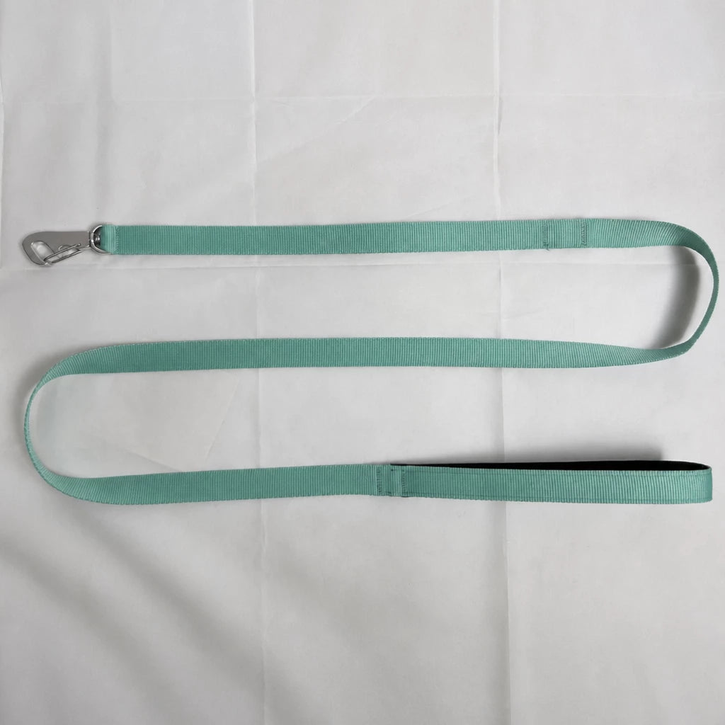 Lightweight Quick-Dry Polyester Dog Leash