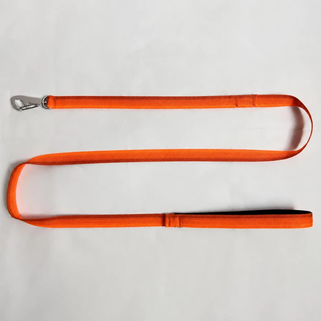 Lightweight Quick-Dry Polyester Dog Leash