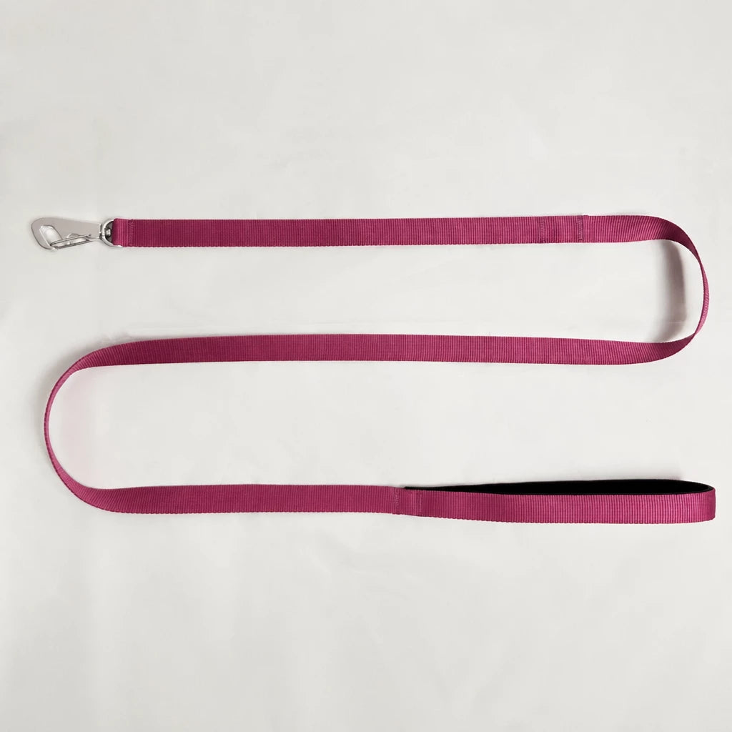 Lightweight Quick-Dry Polyester Dog Leash
