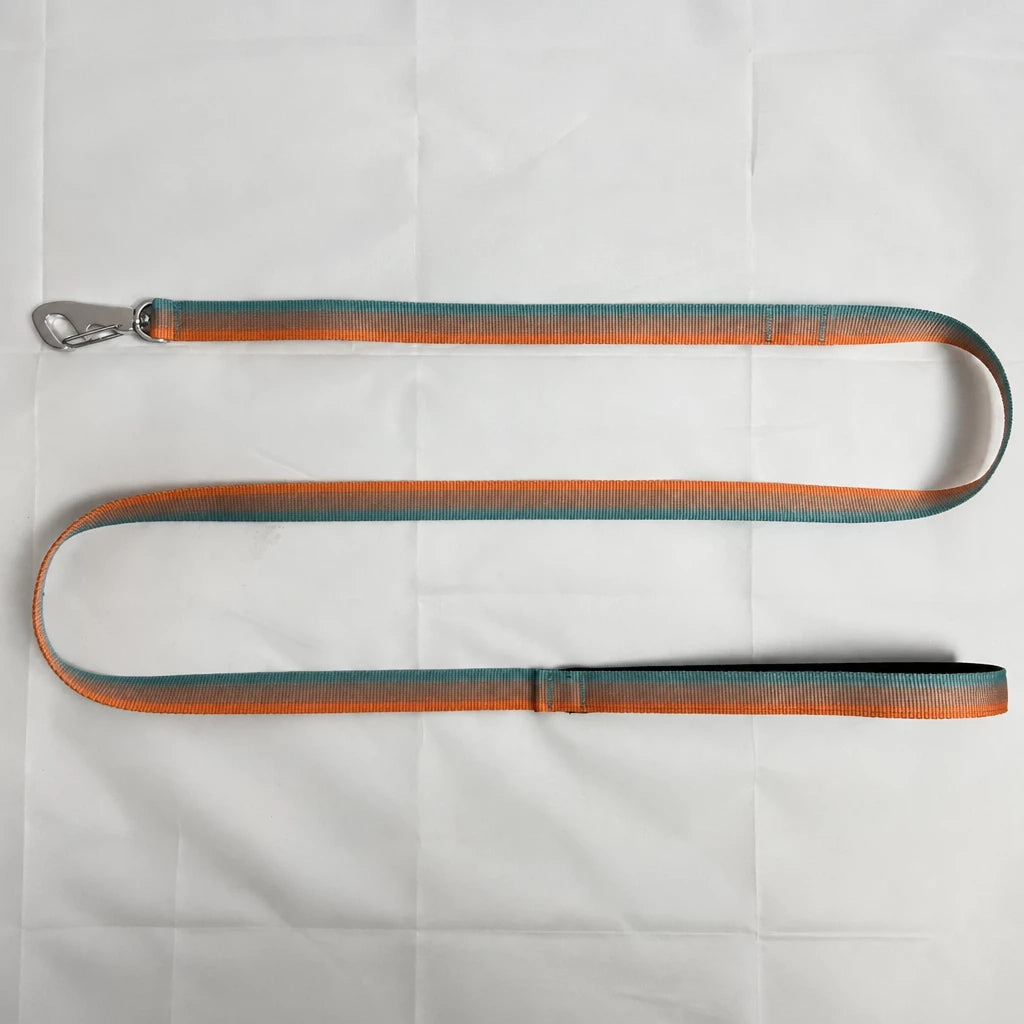 Lightweight Quick-Dry Polyester Dog Leash