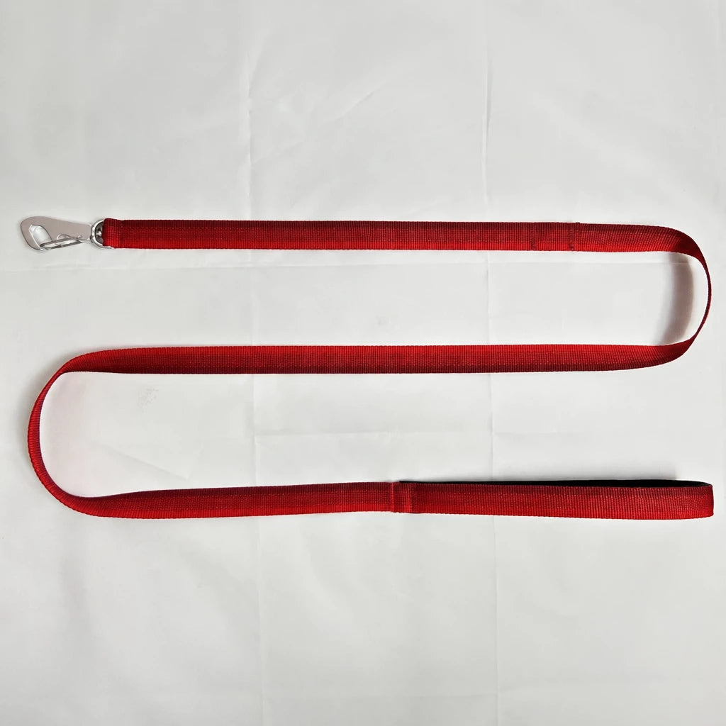 Lightweight Quick-Dry Polyester Dog Leash