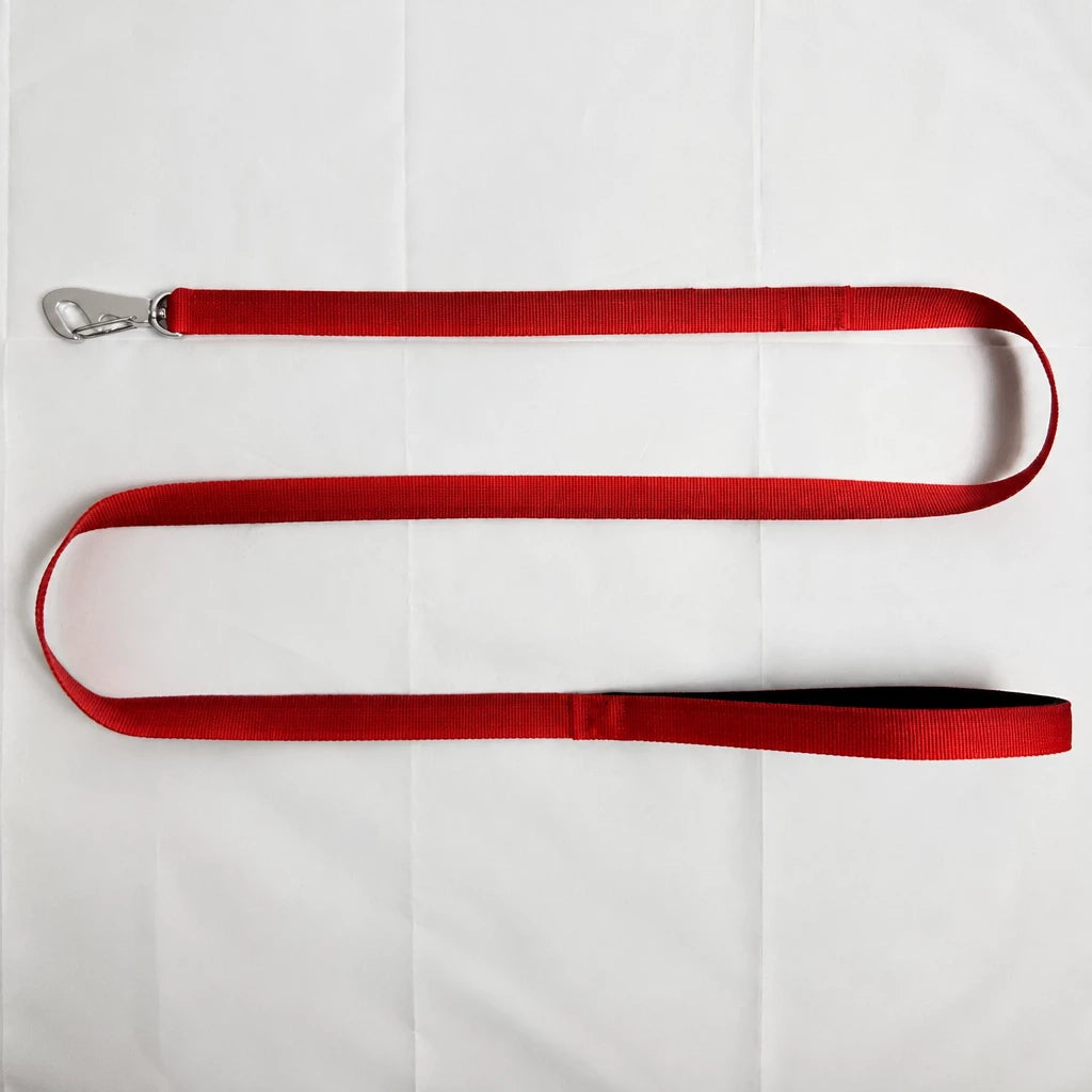Lightweight Quick-Dry Polyester Dog Leash