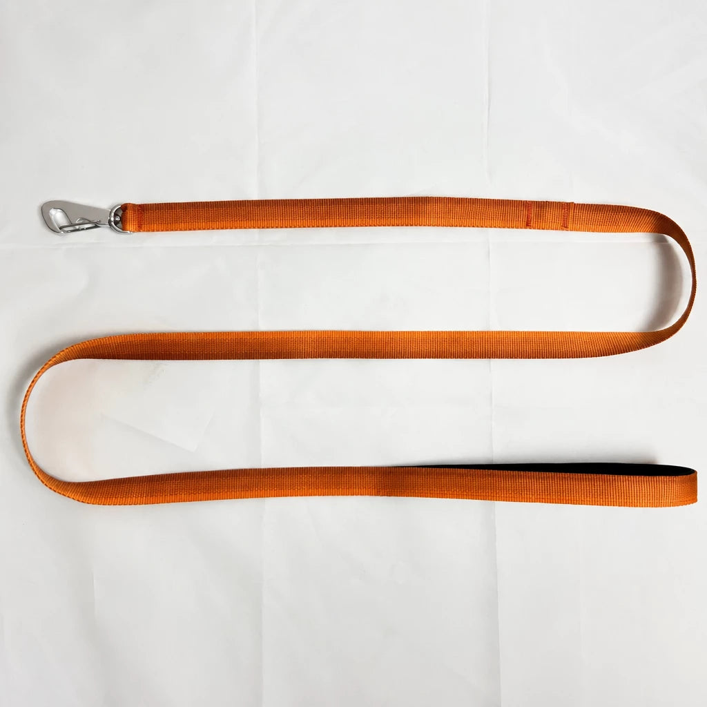 Lightweight Quick-Dry Polyester Dog Leash
