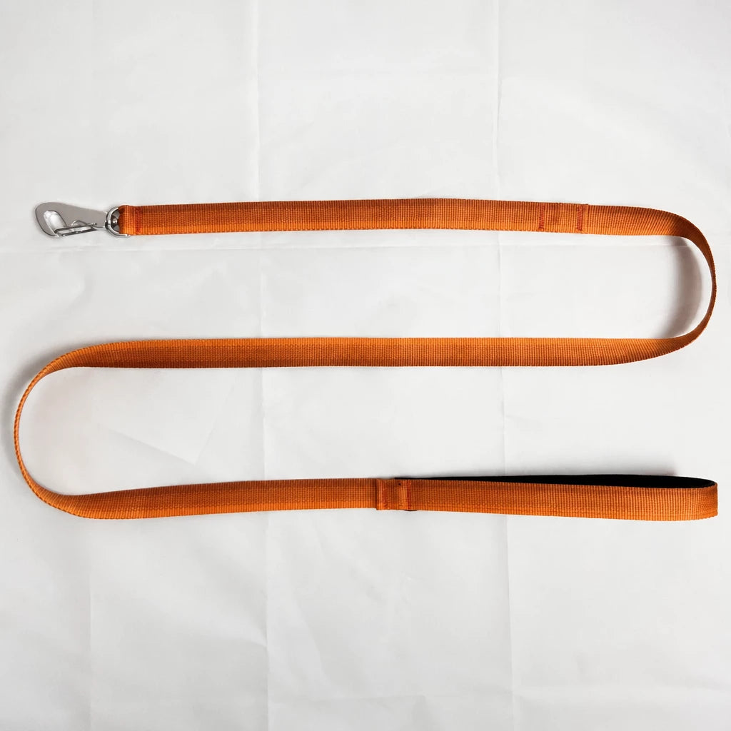 Lightweight Quick-Dry Polyester Dog Leash